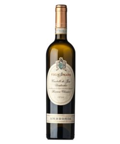 VIGNAMATO "AMBROSIA" VERDICCHIO RISERVA 2021